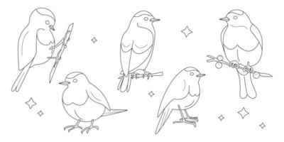Set of five birds drawn with a contour for coloring. Set for children's creativity. Silhouettes of small birds in different positions. Sparrows, bluebirds and other small birds vector