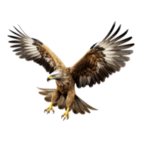 ai généré Aigle en volant isolé sur transparent Contexte png