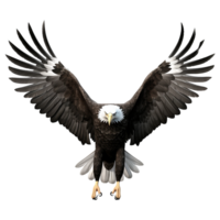 AI generated Eagle flying isolated on transparent background png