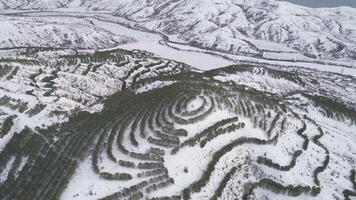 agradável inverno cena dentro montanhas. tomada. topo Visão do a Nevado montanha panorama dentro a floresta video