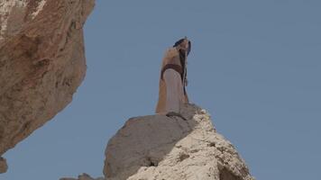 ein jung bärtig Schamane mit ein Mitarbeiter im seine Hände, im Weiß Kleidung, betet Stehen auf ein Felsen gegen das Hintergrund von ein klar Himmel video