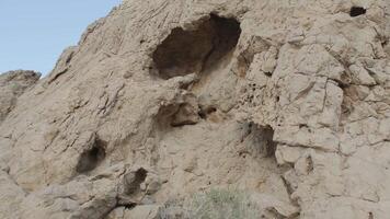 un hombre con un personal en su mano y el ropa de un chamán soportes en un rock entre el playa de el Desierto y bailes video