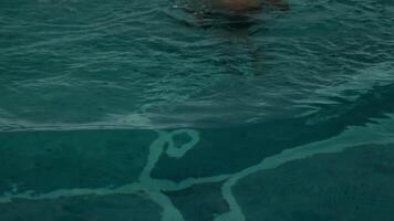 A young athletic man with a young son swims in the pool of an expensive luxury hotel. video