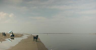 Fischer mit Hund auf das Ufer von ein ruhig Ruhe See auf ein wolkig Tag video