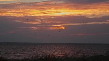 verde colinas en contra el antecedentes de el río en el rayos de el puesta de sol. un nublado verano noche. video