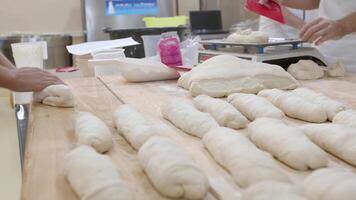 Tres panadería trabajo en el panadería con masa. lento movimiento video