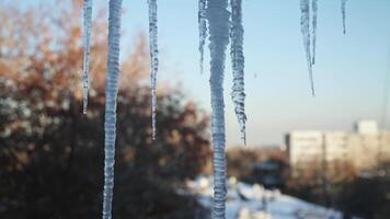 Ice icicles on the window against the background of the winter sky and the city. video