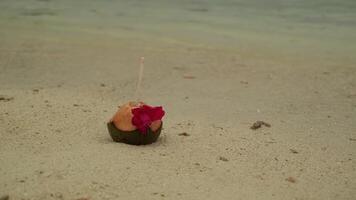 een kokosnoot met een ingevoegd buis en een bloem leugens Aan de zand Aan de kust. golven van surfen wassen de oever. video