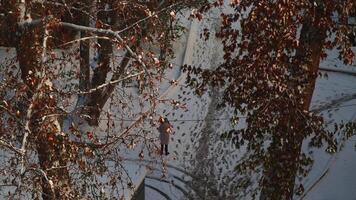 gens sont en marchant le long de le chemin entre le congères dans le Cour de le maison. là sont des arbres couvert dans neige tout autour. video