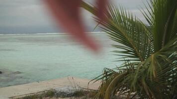 Parapet on the ocean shore under palm trees. On the background of a sandy beach, waves and cloudy sky. Maldives. video