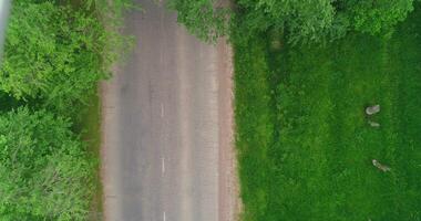 le drone terres sur une pays route entouré par des arbres et herbe. été ensoleillé journée video