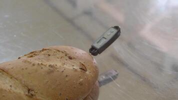 Cooking thermometer is put out of fresh baked raisin bread video