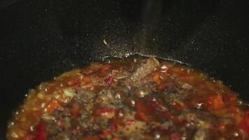 An elderly woman salts, peppers and stirs food in a cauldron with a wooden spoon. video