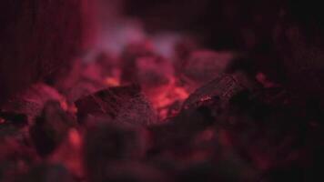 fechar-se do carvão queimando vermelho dentro a grade video