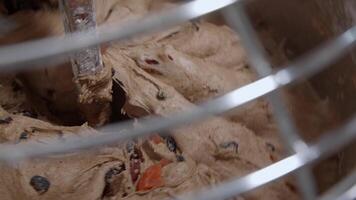 Dough for bread with dried apricots is mixed in dough machine video