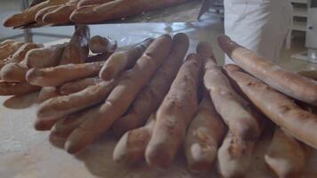 Wagen mit frisch gebacken Rosine Brot ist genommen aus von das Ofen Frau Bäcker gekleidet im Weiß video