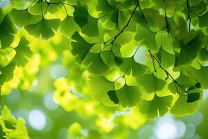 AI generated Ginkgo Leaves. Natural leaf texture background. Branches of a ginkgo tree photo