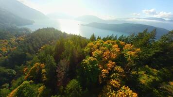 fpv antenn se av färgrik skog på berg backar. harrison sjö, kanada video