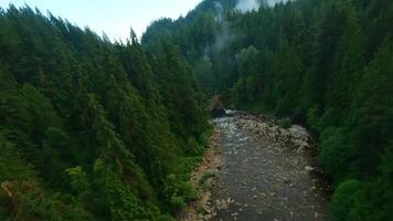 volo al di sopra di un' montagna fiume. tiro su fpv drone. Britannico Colombia, Canada. video