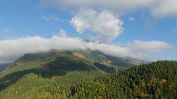 Antenne Aussicht von bunt Wald auf Berg Pisten und wolkig Himmel. Kanada video