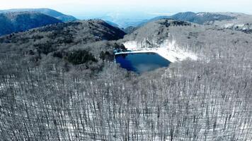 Lake in snow mountain forest aerial video