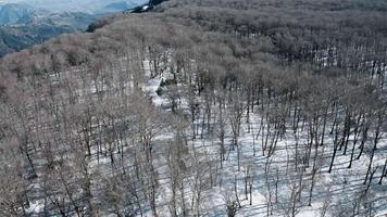 hiver neige Montagne avec vide arbre aérien video