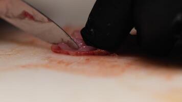 Chef Removing innards with knife of fresh prawns close-up view video