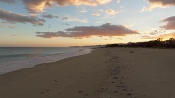 Peace of senses immersed in the nature video