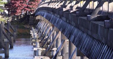 togetsukyo brug in de buurt katsuragawa rivier- in Kyoto in herfst telefoto schot video