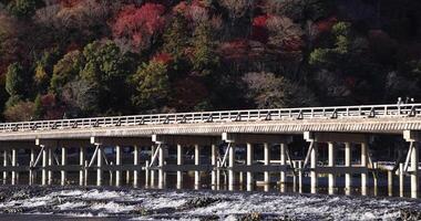 Togetsukyo bridge near Katsuragawa river in Kyoto in autumn telephoto shot video