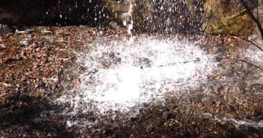 een langzaam beweging van waterval Bij atami Pruim park in shizuoka dag video