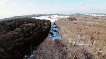 neve montanha e árvore dentro fpv Visão video