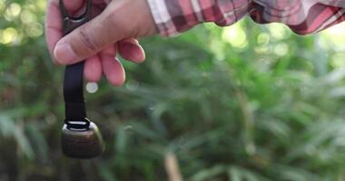 A bear bell with hand at the green forest in Autumn close up video