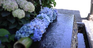 A water fall with hydrangea flowers at the purification trough in summer video