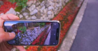 un teléfono inteligente disparo apilado arriba rojo hojas en el estrecho canal en otoño video