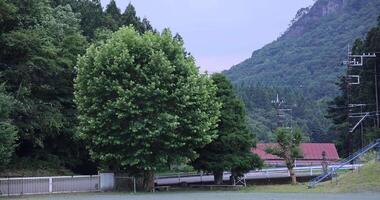 A ground of the closed elementary school at the country side in Gunma telephoto shot video