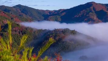 A timelapse of the sea of clouds at the top of the mountain in Kyoto telephoto shot zoom video