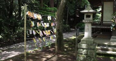 uma papel guindaste balançando dentro a vento às a tradicional rua portátil tiro video