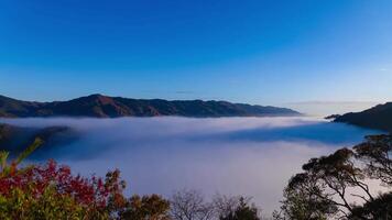 un' lasso di tempo di il mare di nuvole a il superiore di il montagna nel kyoto largo tiro inclinazione video