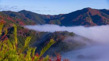 A timelapse of the sea of clouds at the top of the mountain in Kyoto telephoto shot tilt video