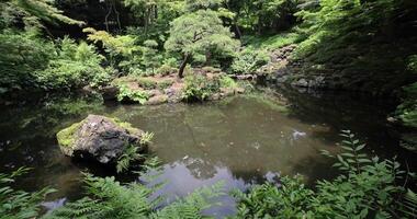 en japansk trädgård damm på tonogayato trädgård i sommar solig dag luta upp video