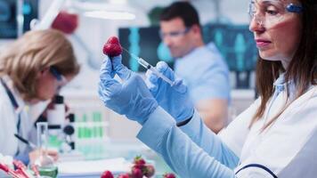 Close up footage of female scientist researcher injecting a strawberry with GMO for experiments video