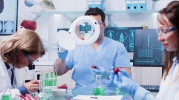 Male assistant looking at food samples using a magnifying glass while his colleagues are working next to him in modern laboratory video