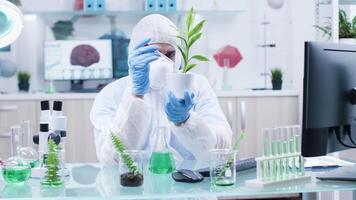 Testing new GMO on plants in modern laboratory. Biochemist at work video