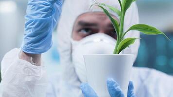 Close up static shot of biochemist at his workplace making test on plants. Biochemistry and technology video