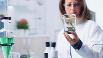 Selective focus of biologist analyzing plant samples in modern laboratory video