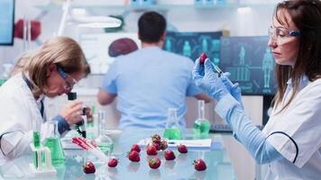 Scientist injecting a strawberry with GMO for faster growing video