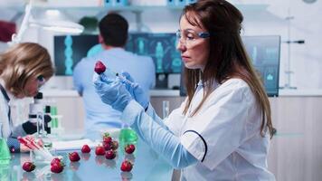 ocupado dia dentro moderno Comida genética pesquisa Centro. cientistas estão trabalhando video