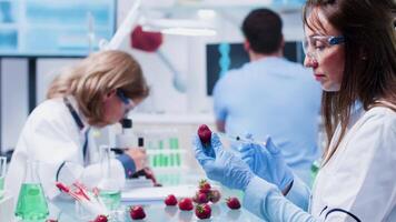 GMO testing in modern and high end biotechnology laboratory. Female scientist is injecting strawberry for experiments video