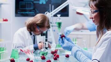 cibo genetica scienziato è studiando frutta campioni per esperimenti. nel il sfondo - occupato squadra Lavorando video